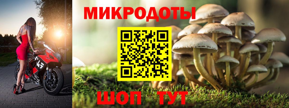 Псилоцибиновые грибы Cubensis Удомля